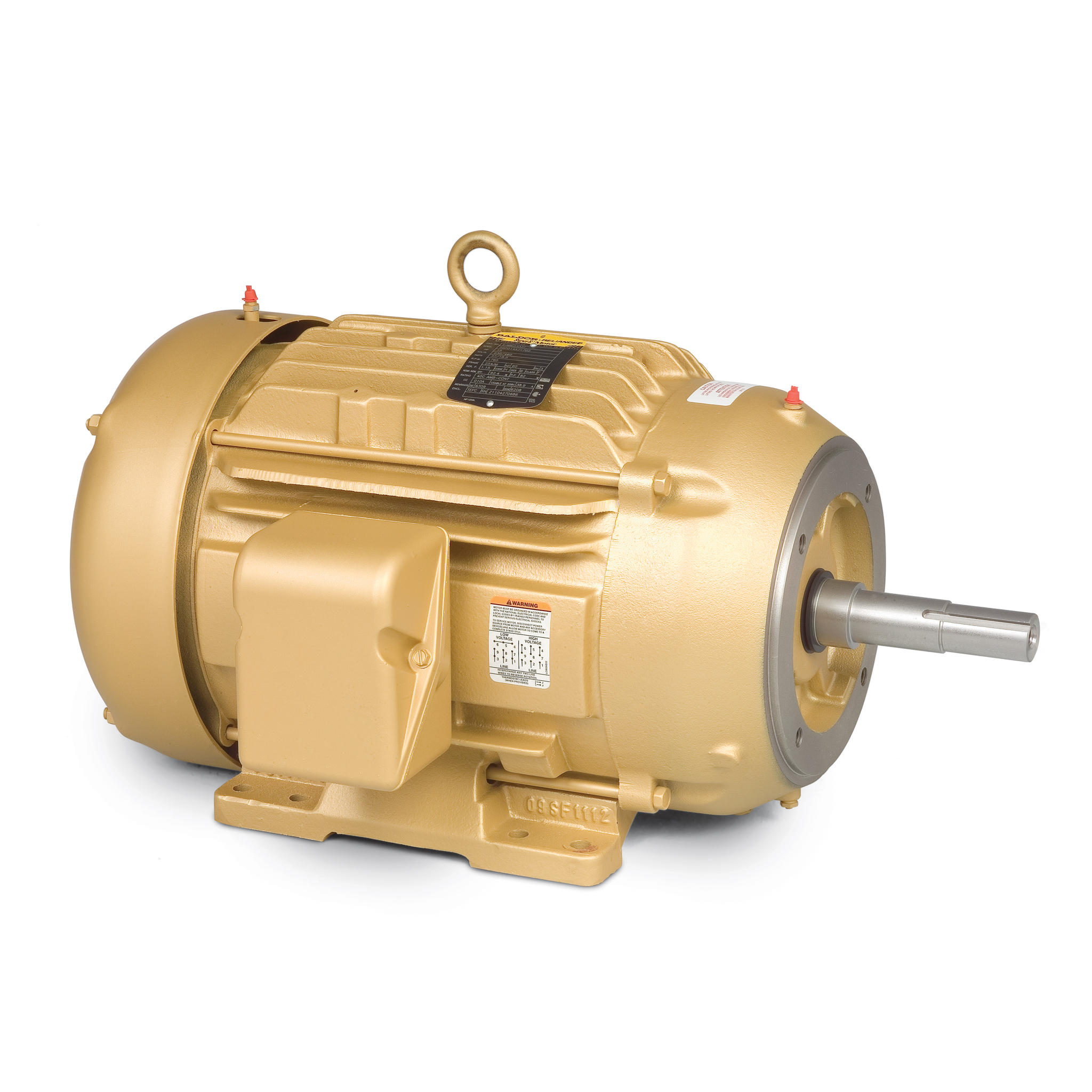 TEFC Close Coupled AC Motor (EJPM4106T)