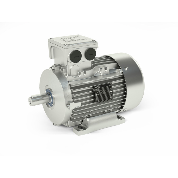 NEMA C-Face Asynchronous Motor (35810392)
