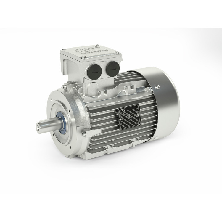 IEC B14 Asynchronous Motor (35810016)