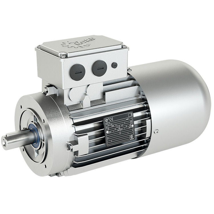 160 MP/4 - IEC B5 - A250 - 400/690V - BRE 150Nm