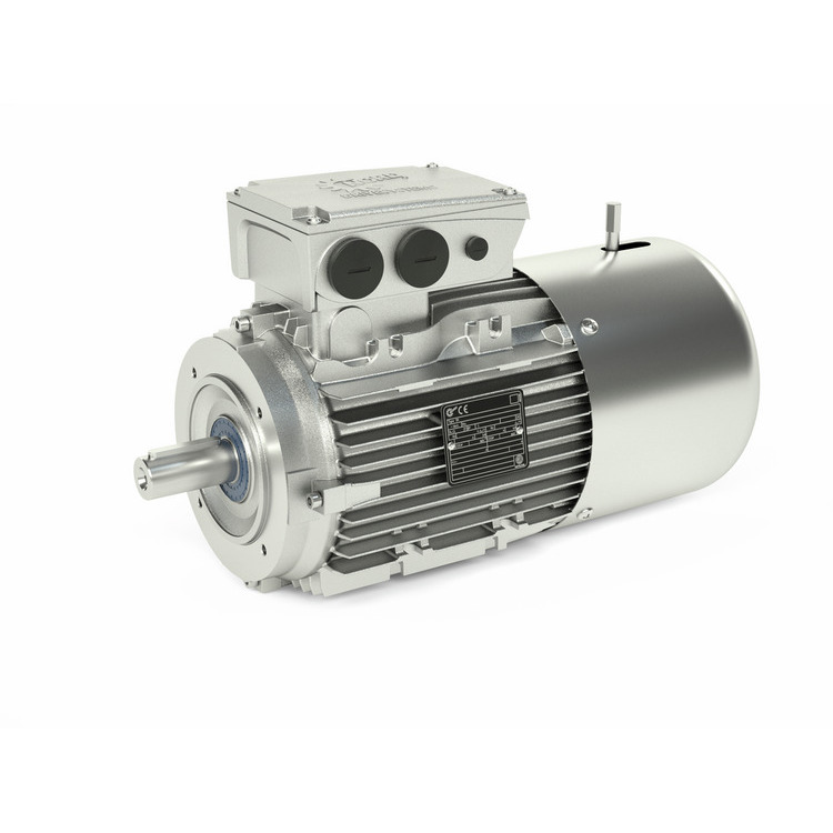 Braking NEMA C-Face Asynchronous Motor (35810285)