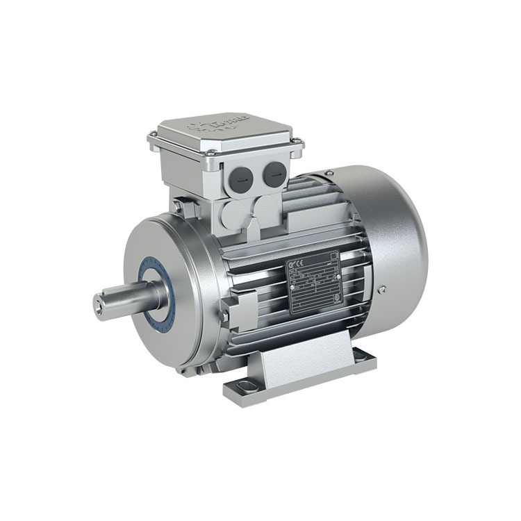 132 SP/4 - NEMA Foot - N215T - 332/575V